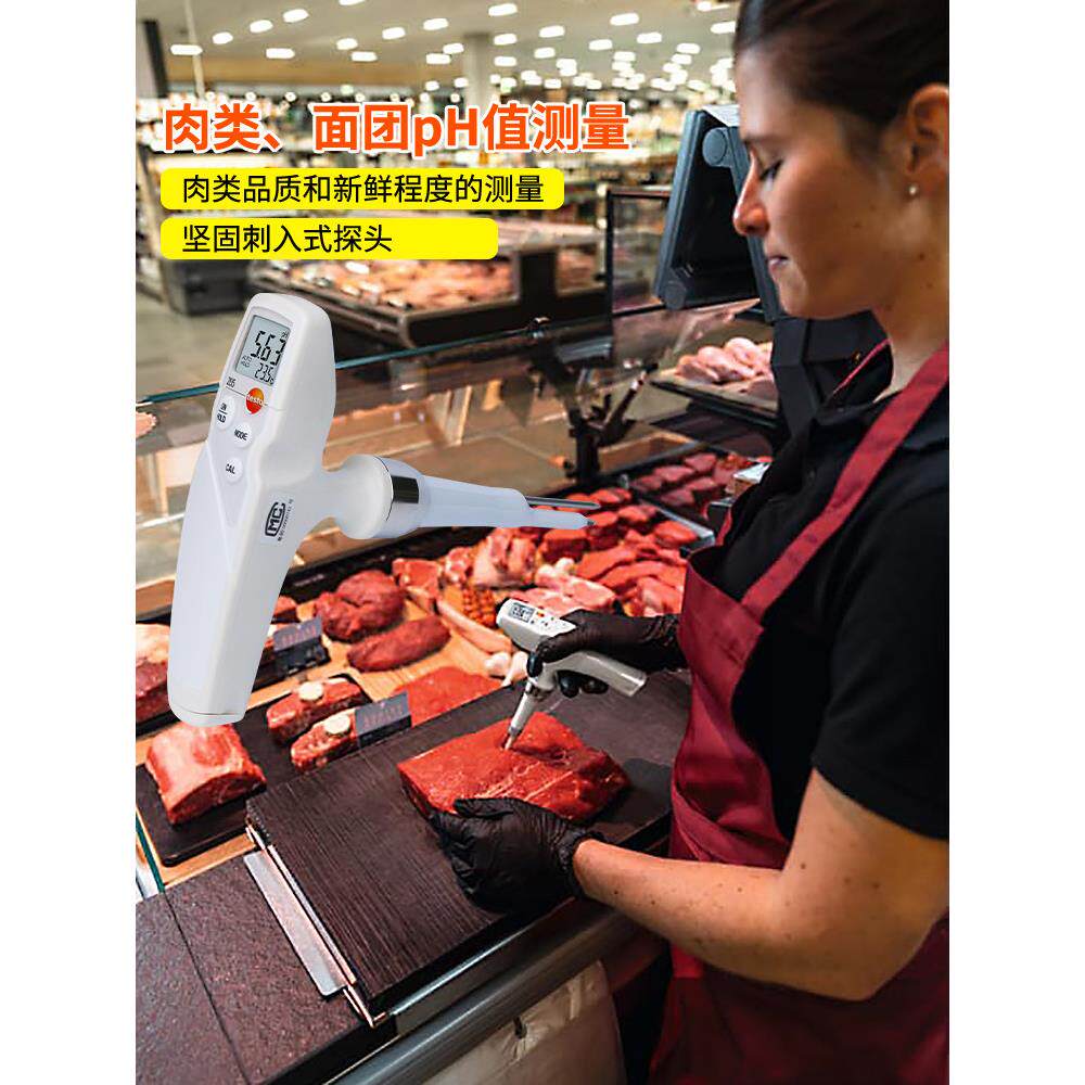 德图testo205食品插入式pH计温度计数显半固体肉类酸碱度测量仪