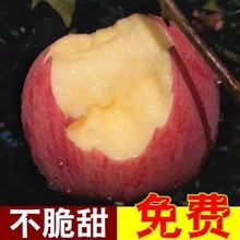 正宗陕西洛川苹果水果红富士新鲜当季整箱5斤10斤官方旗舰店包邮