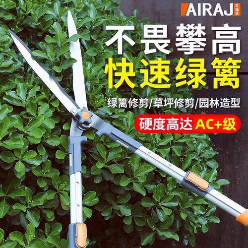 草坪剪园艺专用剪子园林修枝剪家用绿篱剪加长杆修剪树枝剪