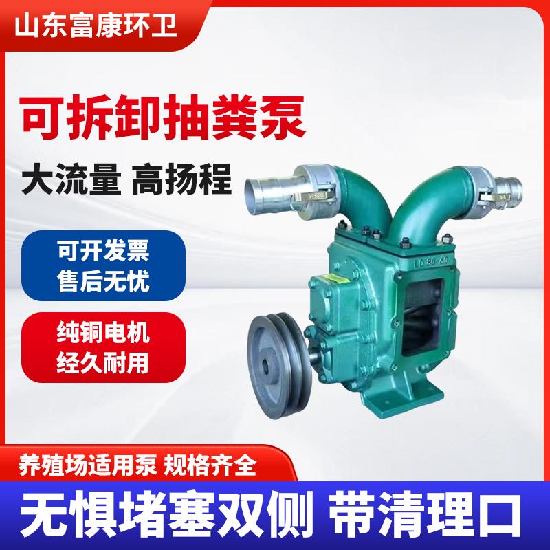 9P1E抽粪泵污水泵养殖场抽粪泵化粪池沼气池鱼塘浇地灌溉铸钢