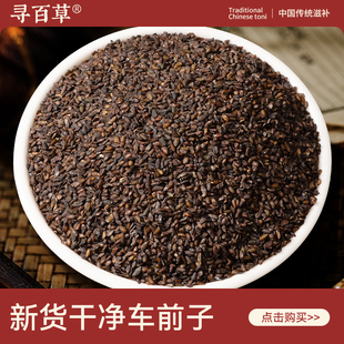寻百草车前子中药材500g正品精选无硫新货泡水车前籽饱满车前草籽