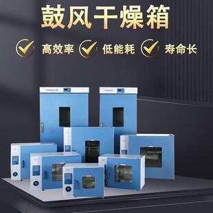 上海一恒DHG-9030A/9140鼓风干燥箱实验室烘干箱电热恒温烘箱工业
