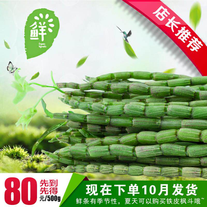 天天特价乐清雁荡山铁皮石斛鲜条500g赛霍山石斛枫斗送石斛花
