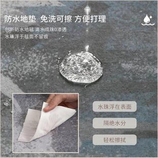 轻奢可裁剪高端简约玄关别墅大门口地毯 入户门地垫高级感2023新款