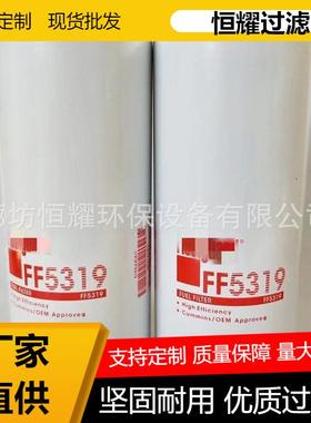 FF5319柴油滤清器滤芯BF7587燃油滤清器1R07493089679