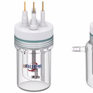 高仕睿联C002系列C002-1直型五口密封电解池电化学池可开票