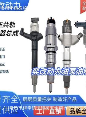 柴油电喷喷油总成嘴江淮奥铃全柴大0445110云内轻卡重卡客柴车重