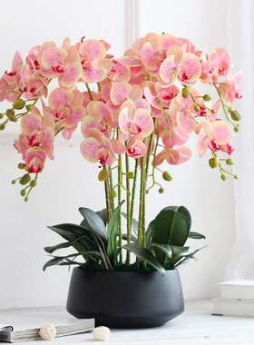摆10枝款大盆蝴蝶兰花装酒店大堂F75999J6摆设客厅司放公前台套摆