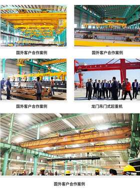 固定式环链动葫芦5吨10吨1CD2T-6M6吨钢丝绳电葫芦净空低电电动葫