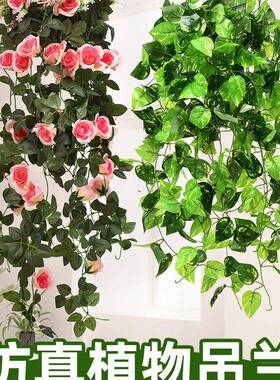 植物壁挂假藤内条装藤蔓绿植吊花兰室吊顶垂吊饰塑10000037料绿萝