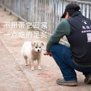 老疯杨救助粮随身装 看到流浪猫狗请给它喂一点2斤