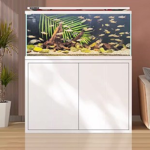 无管件雷龙缸底滤溪流缸鱼缸客厅家用中小型超白玻璃缸内无管道