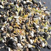 中大型小太金太中型鹦鹉营养粮蛋黄带壳饲料鸟粮鸟食蜡嘴促进繁殖