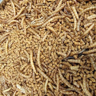 添加黄粉虫干八哥鸟食乌鸫饲料百舌鸟鸟饲料鹩哥鸟粮喜鹊八哥饲料