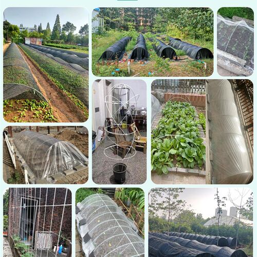 新型大棚骨架小拱棚支架套棚搭棚架子玻璃纤维杆地膜菜棚种菜家用