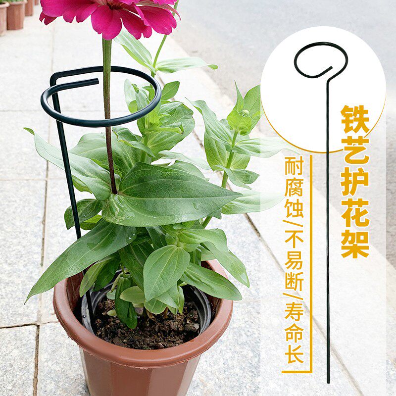 铁艺花架子阳台植物支撑架月季绣球爬藤固定花支架单杆防倒护花架