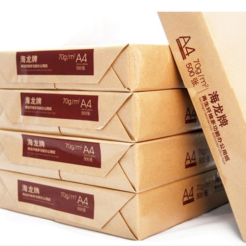 海龙a4复印纸70克80g 500张/包 5包/箱 a4纸打印白纸办公纸天章韵