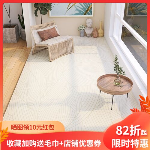 夏季阳台垫子地垫防水防晒网红防滑满铺室内轻奢可擦洗入户门垫厚