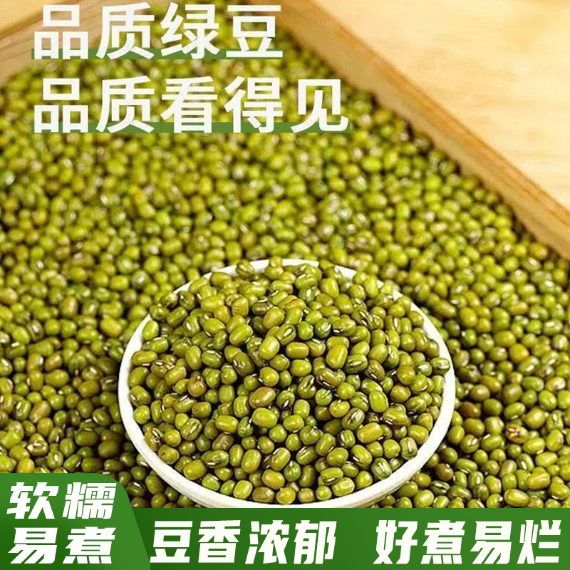 当季小绿豆好煮易烂清热解暑早餐搭档养生杂粮豆香浓郁好煮易烂