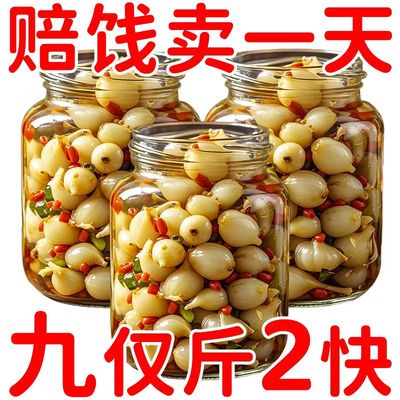【马上张价】酸甜辣藠头四川特产下饭菜荞头新鲜腌制泡咸菜养生茶