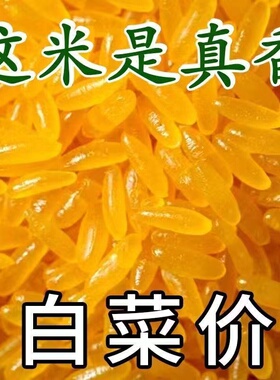 正宗东北黄金米新米正宗黄金大米伴侣五谷杂粮特产黄色的大米