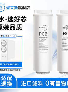 适用于创维净水器CR600BT创维S915滤芯PCB复合滤芯RO反渗透膜滤芯