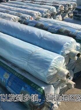 蓝色大棚膜加厚透光透明保温塑料布薄膜J农用装修工地建筑温室防