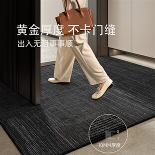 入户门地垫2025新款高级感进门门口脚垫家用耐脏免洗门外玄关地毯