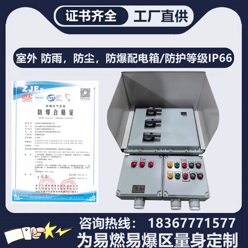 防爆配电箱控制柜动力照明检修插座开关仪表接线盒室外防水防尘
