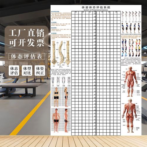 体态评估表体姿图壁画健身房瑜伽馆身体姿态评估图培训机构体测表