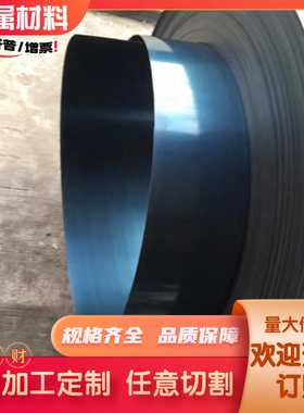 S65C拉光圆棒 S75C 碳素结构钢CK12冷轧钢板 中碳钢S335JR模具钢