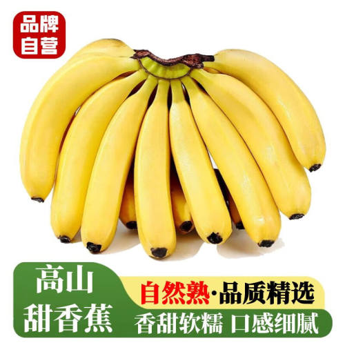 高山香蕉超甜大香蕉薄皮皇帝大香蕉新鲜宝宝自然熟绿色云南大香蕉