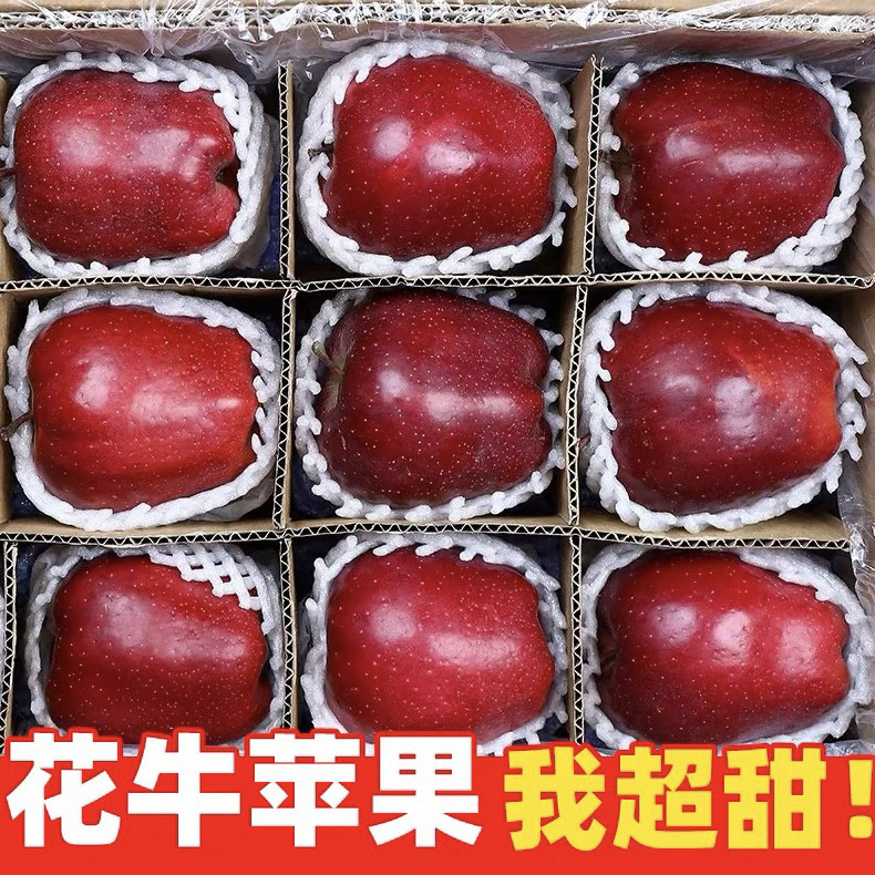 正宗天水花牛粉苹果10斤粉面果产地直发包邮一整箱蛇红果水果甘肃