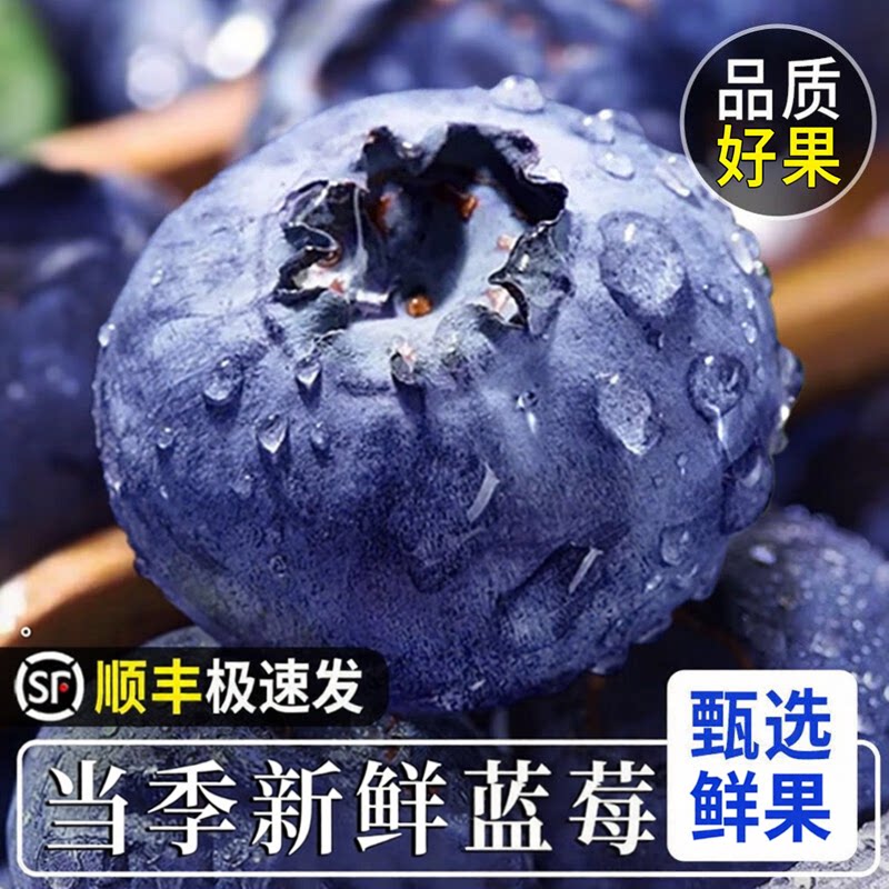 正宗云南蓝莓鲜果高山蓝莓果当季新鲜水果甜孕妇当季水果整箱顺丰