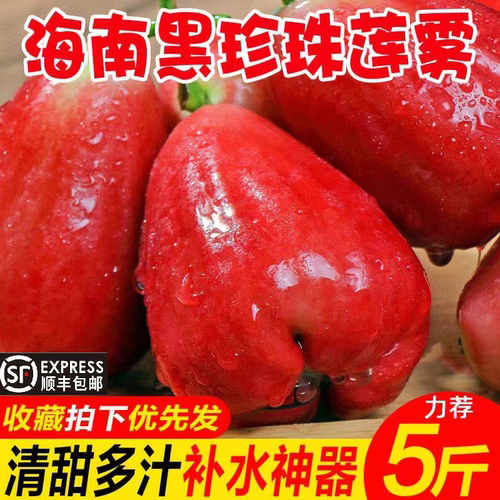 海南黑精刚珍珠莲雾仙女补水清甜雾莲果脆甜红宝石莲雾果非顺丰发