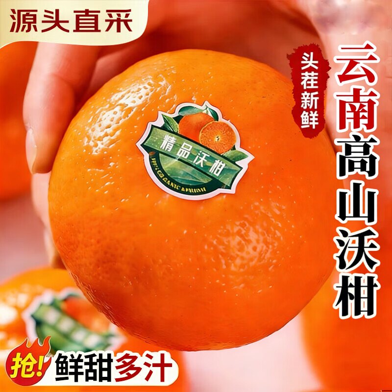云南高山沃柑蜜桔橘子皇帝沃柑有籽无籽随机水果当季新鲜水果柑橘