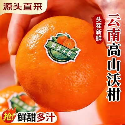 云南高山沃柑蜜桔橘子皇帝沃柑有籽无籽随机水果当季新鲜水果柑橘