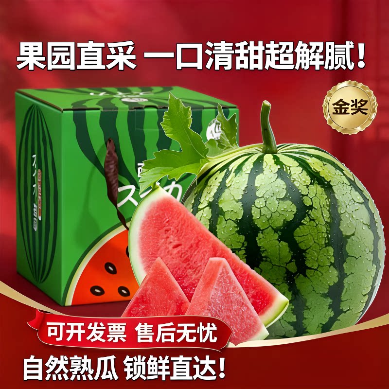 正宗8424麒麟西瓜现摘美都大西瓜当季新鲜时令水果脆甜沙瓤大西瓜