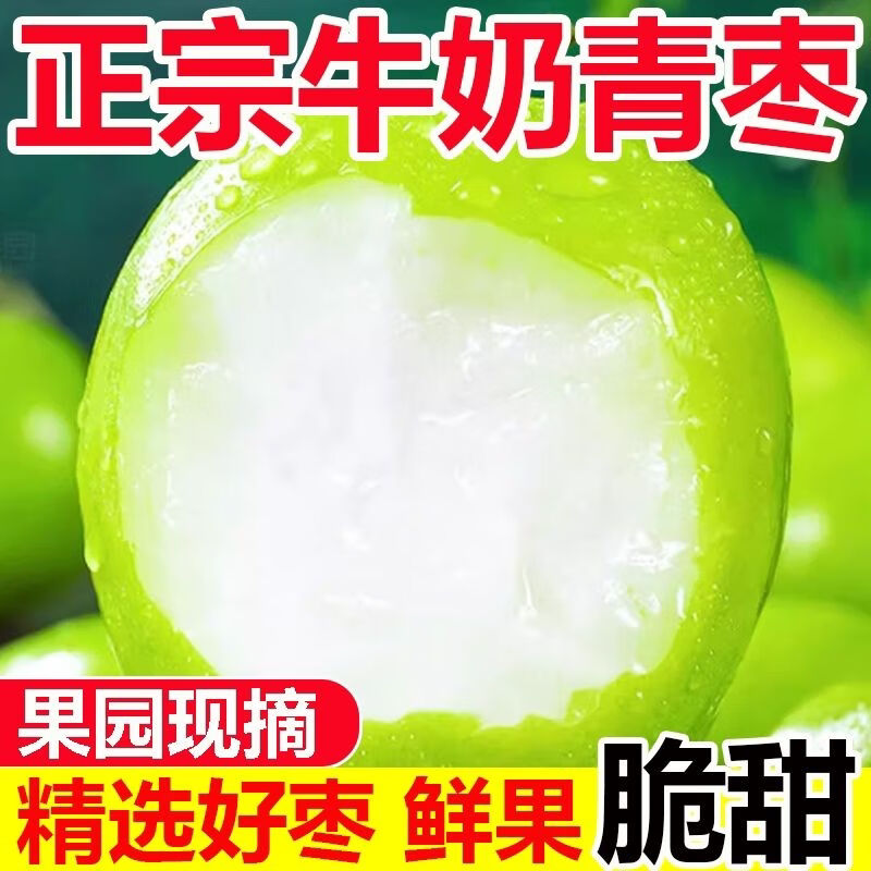 正宗牛奶大青枣新鲜现摘苹果枣脆甜孕妇精选大贵妃枣奶味青枣大果