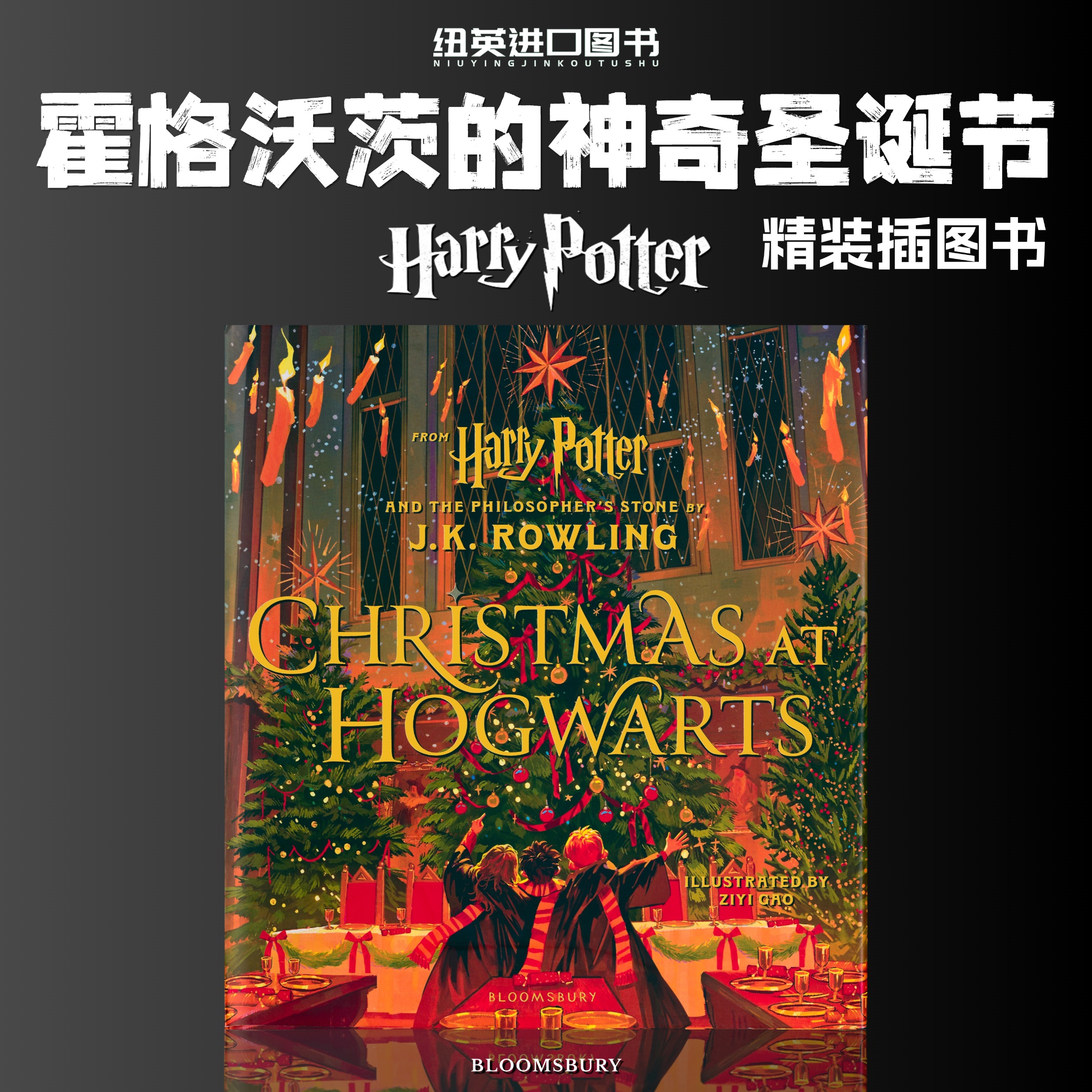 霍格沃茨的圣诞节哈利波特绘本