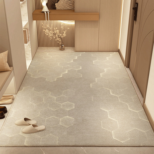 家用玄关进门地垫客厅入户门脚垫2024新款现代简约风地毯防滑垫子