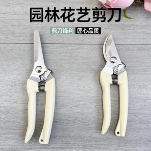 园艺剪枝剪刀修枝剪果树园林工具枝剪刀花剪鲜花绿植玫瑰花艺剪子