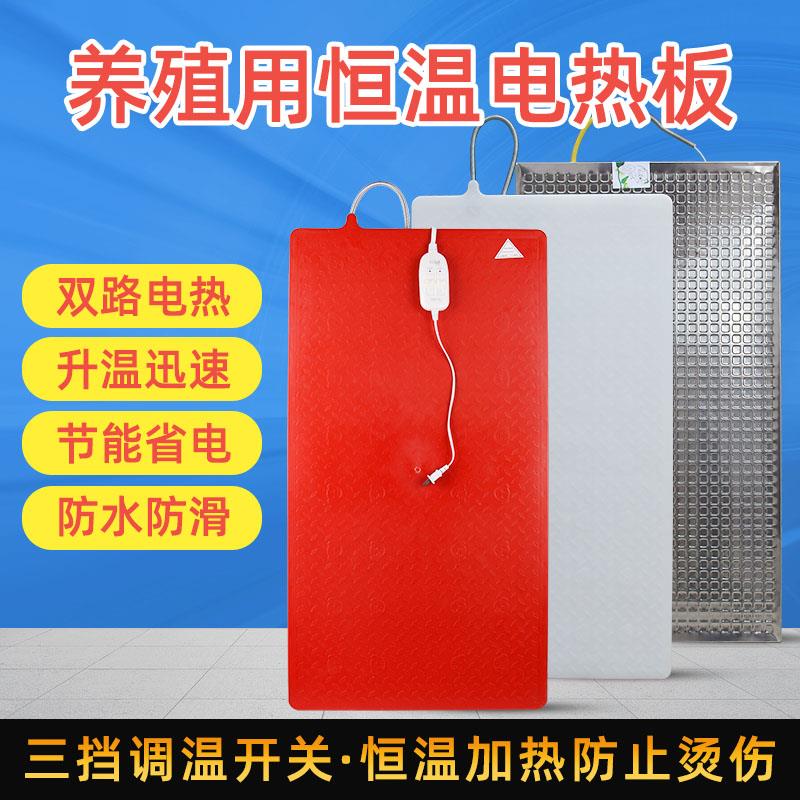 仔猪不锈钢电热板猪用碳纤维母猪产床保温箱兽用加热板小猪保温板