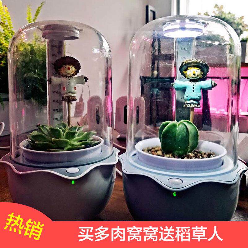 迷你装饰可爱室内桌面特价简约创意智能个性懒人多肉食虫植物花盆