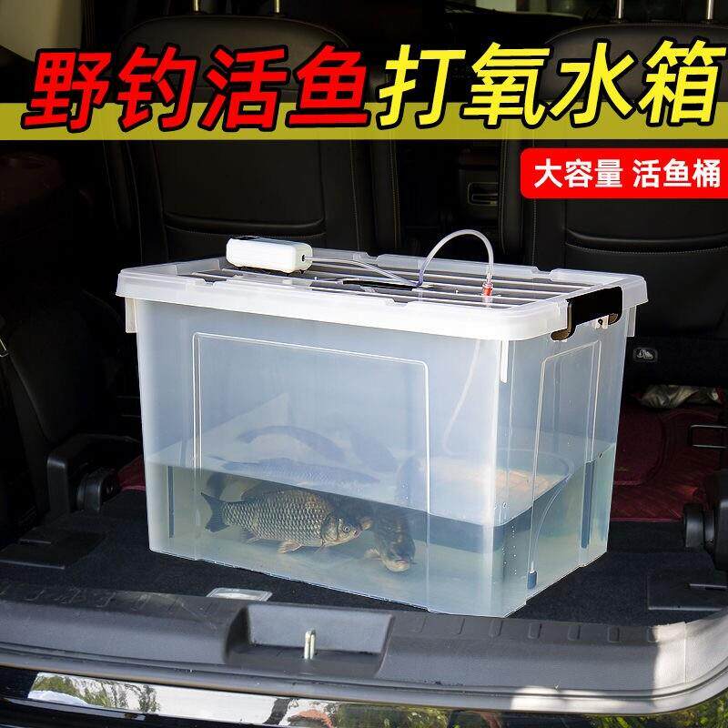 车载活鱼箱车装鱼箱后备箱钓用增氧鱼箱桶带充氧泵塑料pp打氧箱