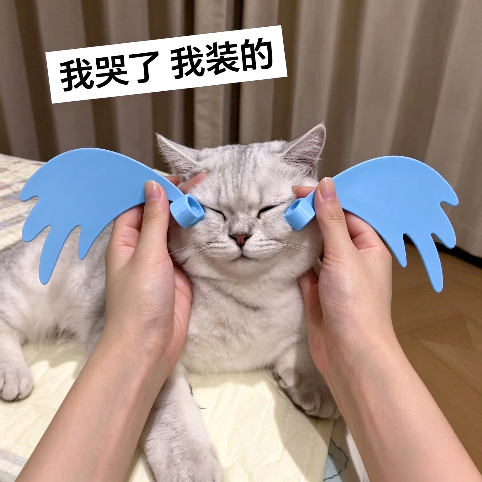 哭哭戒指猫咪狗狗拍照道具3D打印大哭戒指搞笑夸张式眼泪对戒玩具