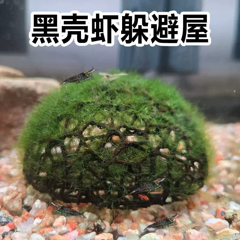 虾躲避屋小鱼观赏造景鱼缸小型迷你黑虎虾繁殖窝装饰摆件庇护水族