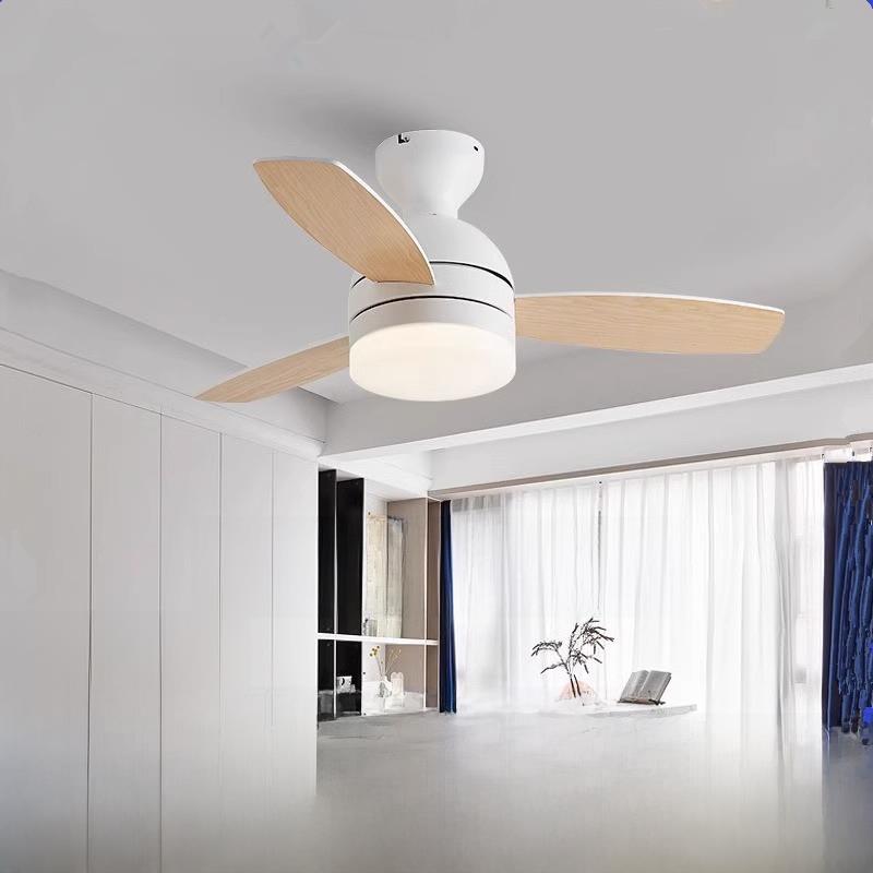 吸顶风扇灯儿童房2024新款网红吊扇110v220简约餐厅电风扇灯 欧式