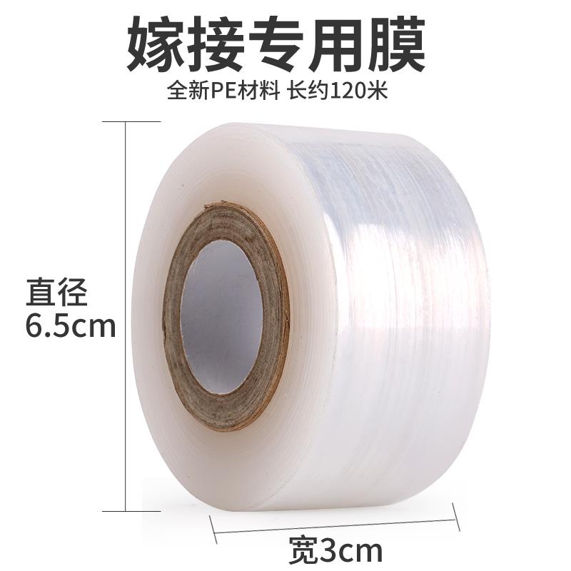 嫁接膜塑料果树嫁接膜自粘型无需打结薄膜包装膜绑带缠绕膜专用膜