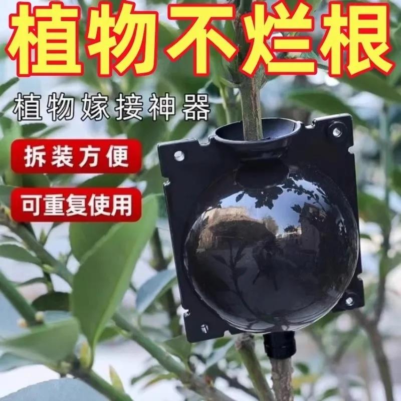 植物高压嫁接繁殖盒扦插育苗嫁接神器生根器高压繁殖球果树生根盒